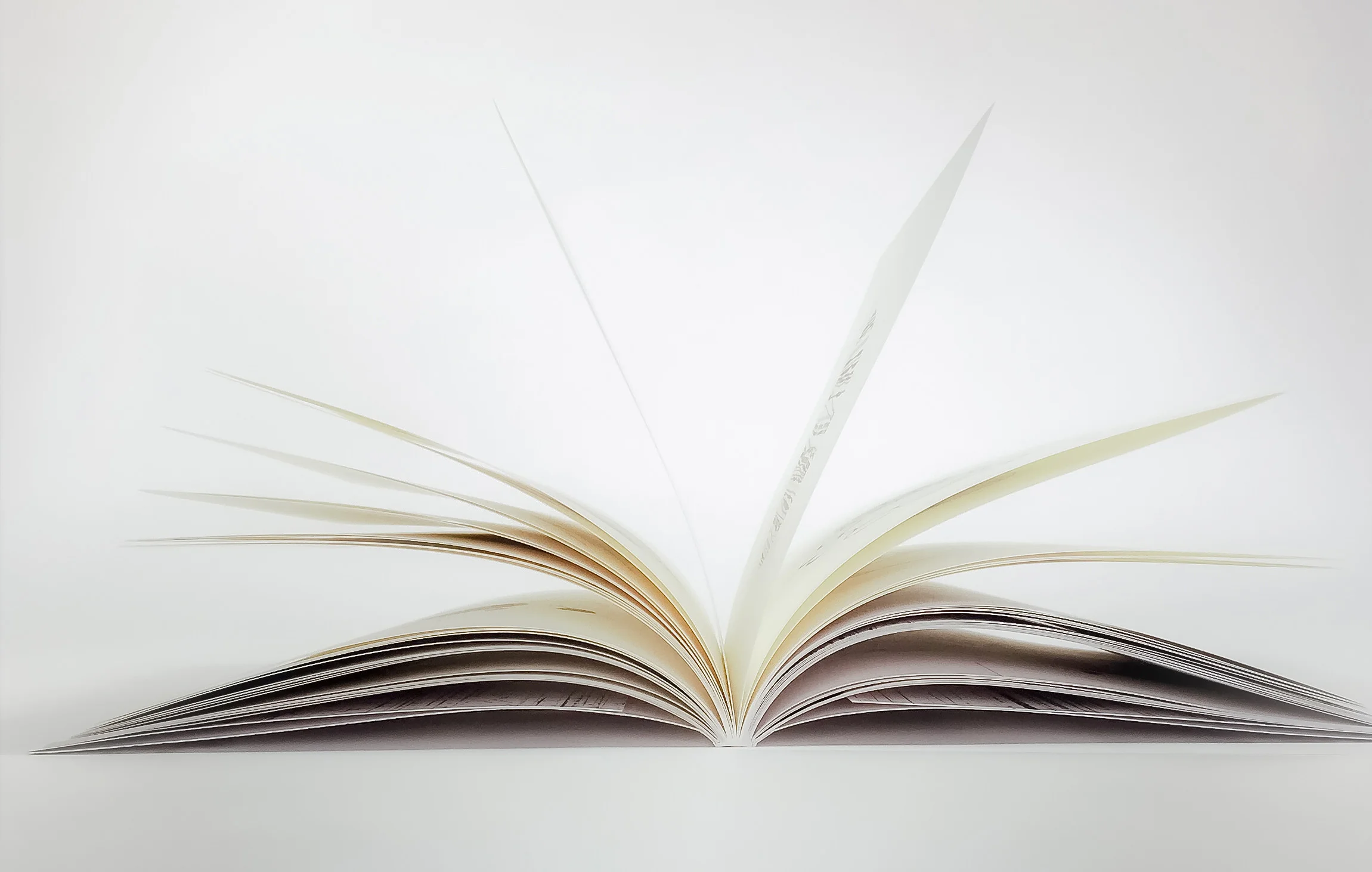 Art Book - Maria Ploskow, Pictura Linearis.