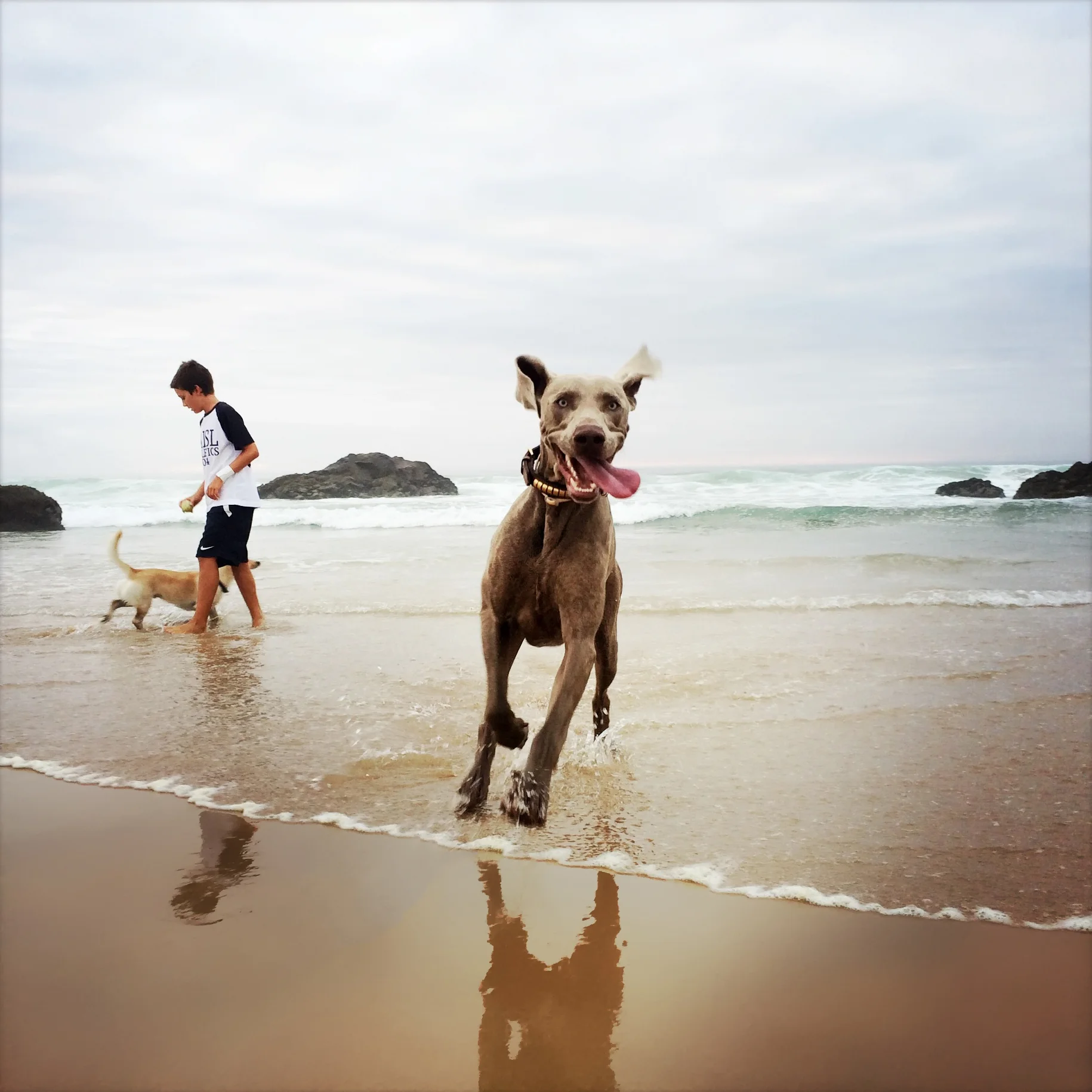 Praia do Guincho