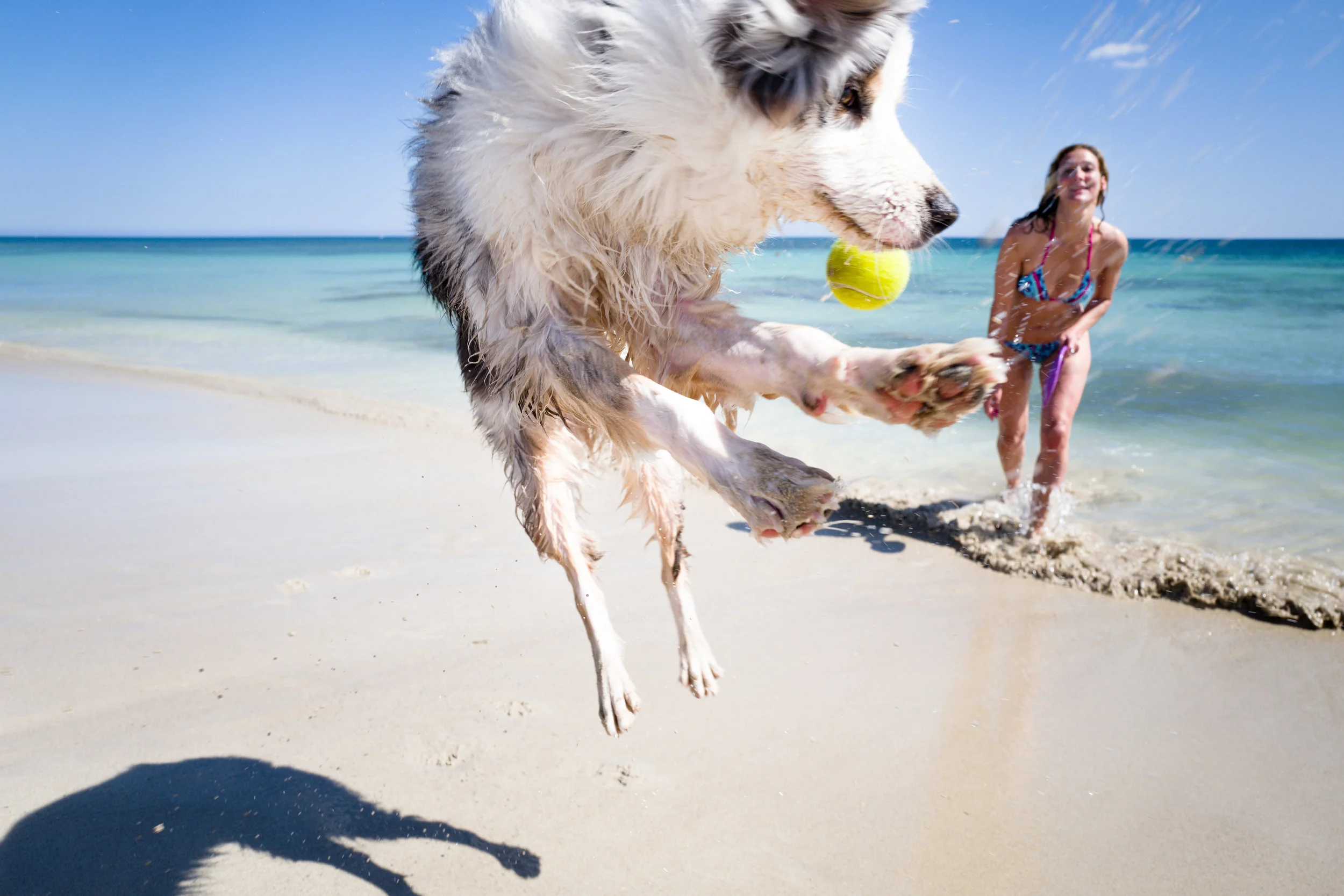 Flying Dog · Lido Marini, Salento, Puglia