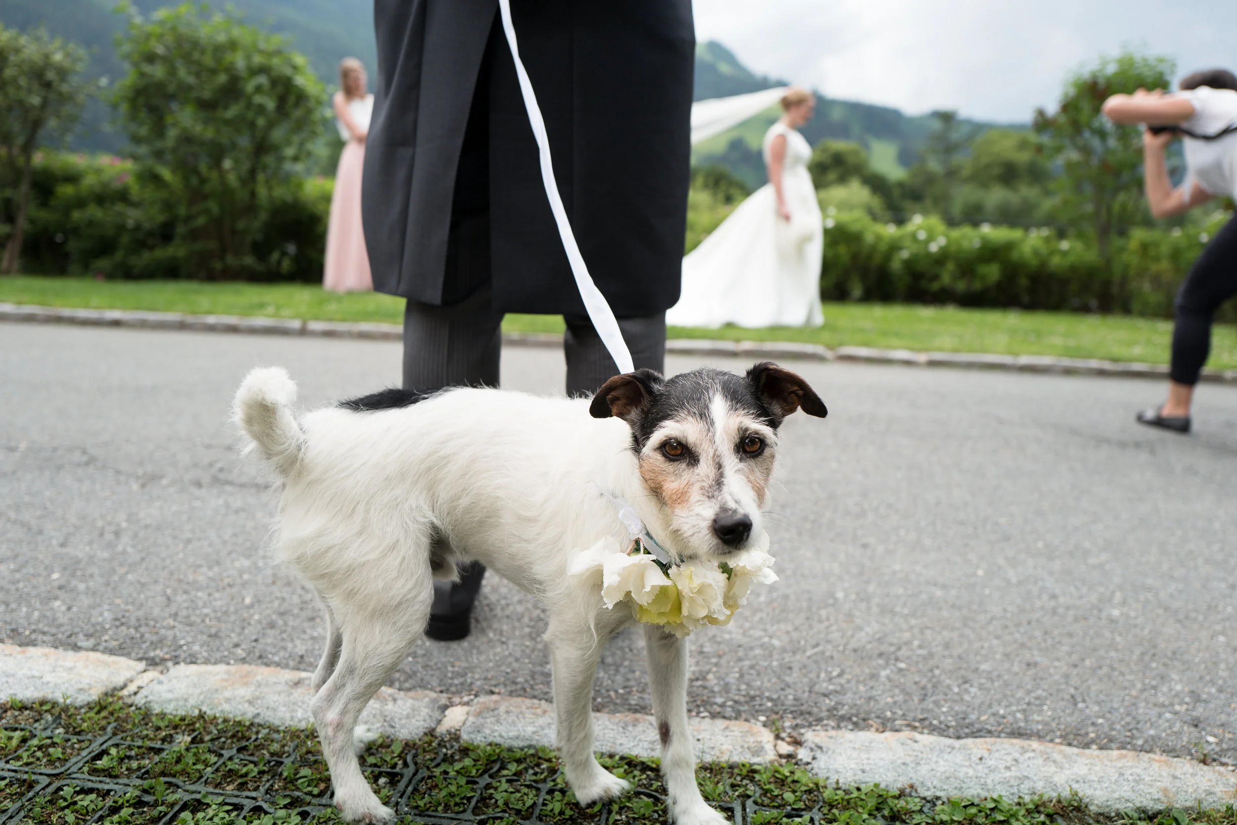 Wedding Photographer, Arosa Kitzbühel