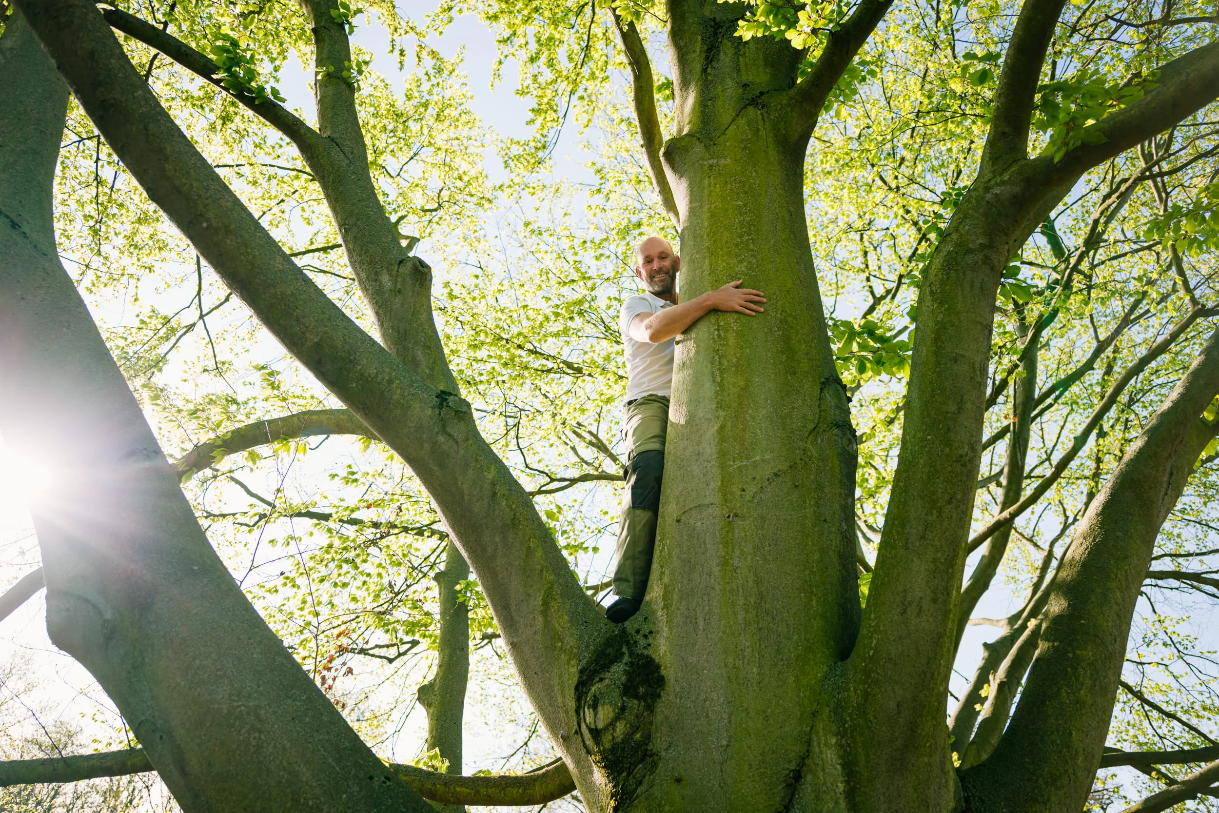 Baumliebe · Portraitfotografie Politik · Wolfgang Aldag, MdL (Copy)
