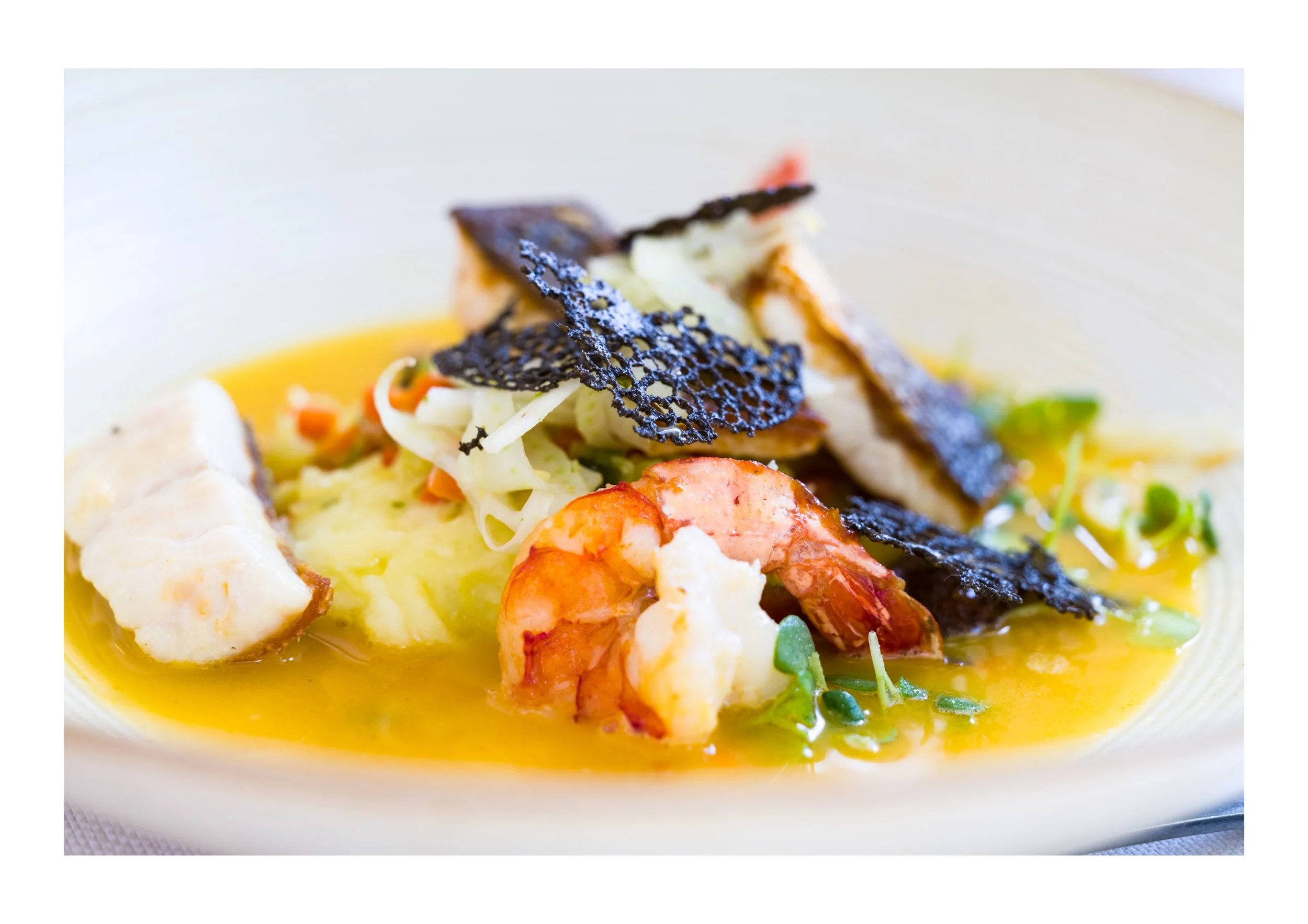 Food II (Copy)