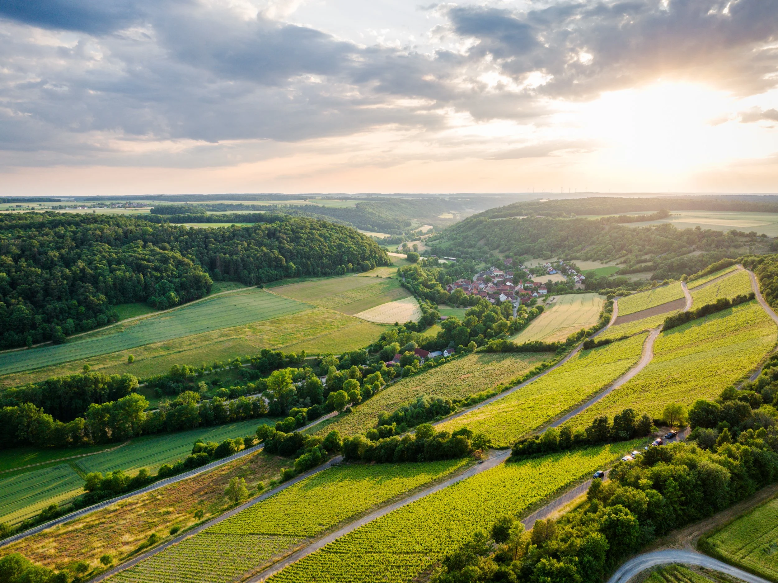 Weinberg Hasennest (Copy)