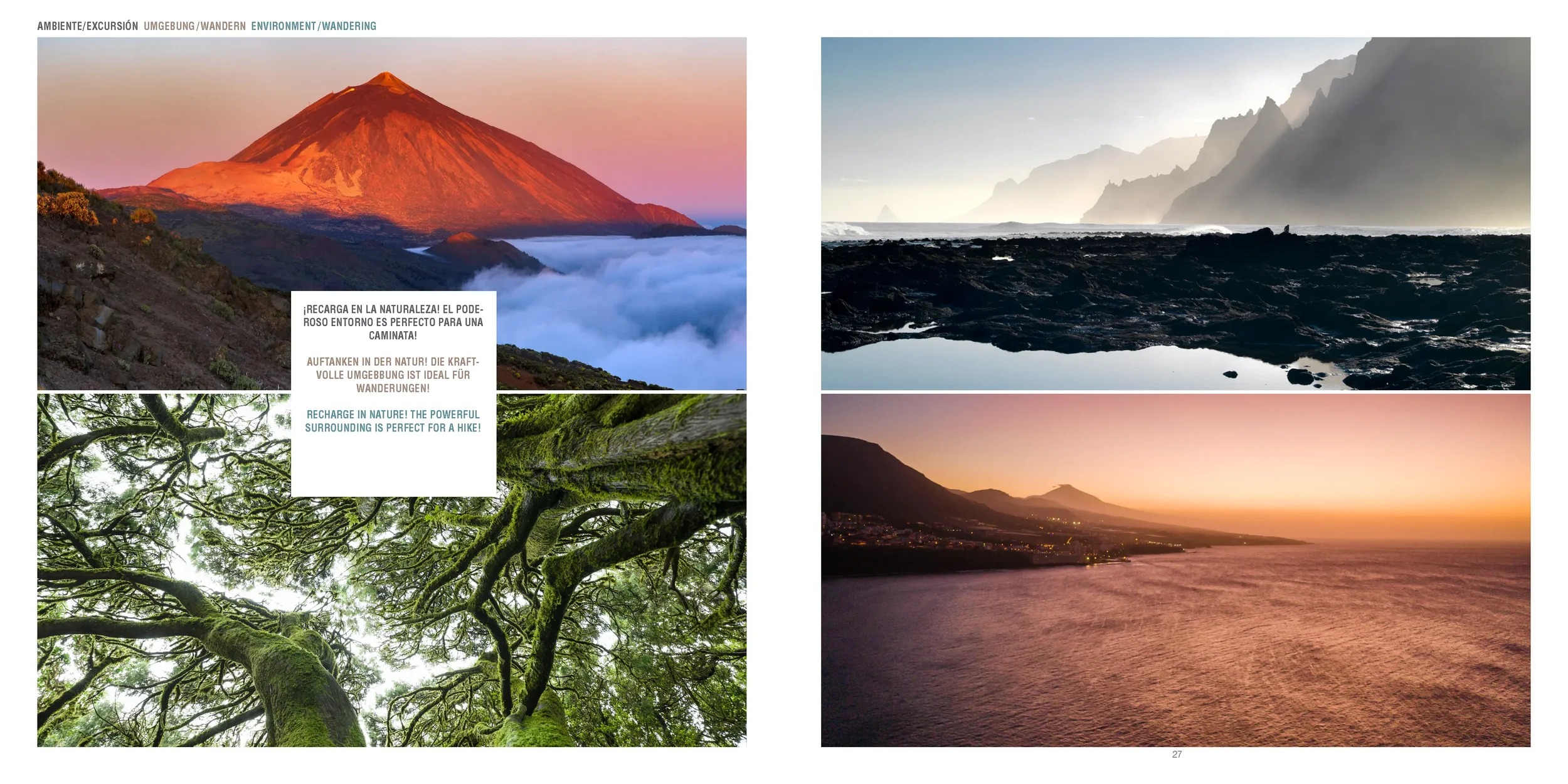 Image_Broschuere_V7b_Seite_14.webp (Copy)