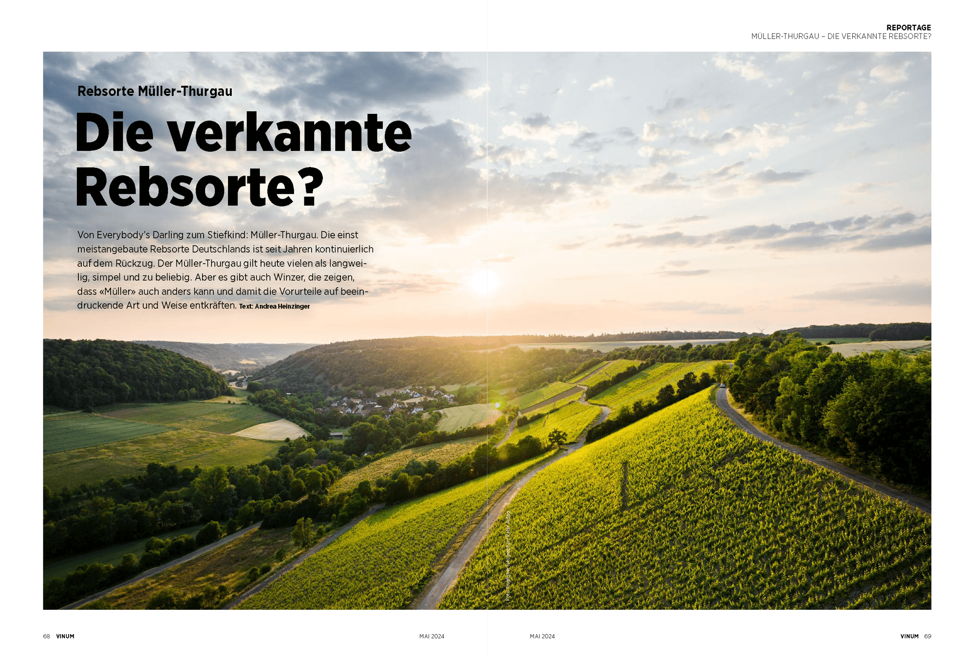 Winzerhof Stahl in Vinum - Foto Frogfisher Photographers