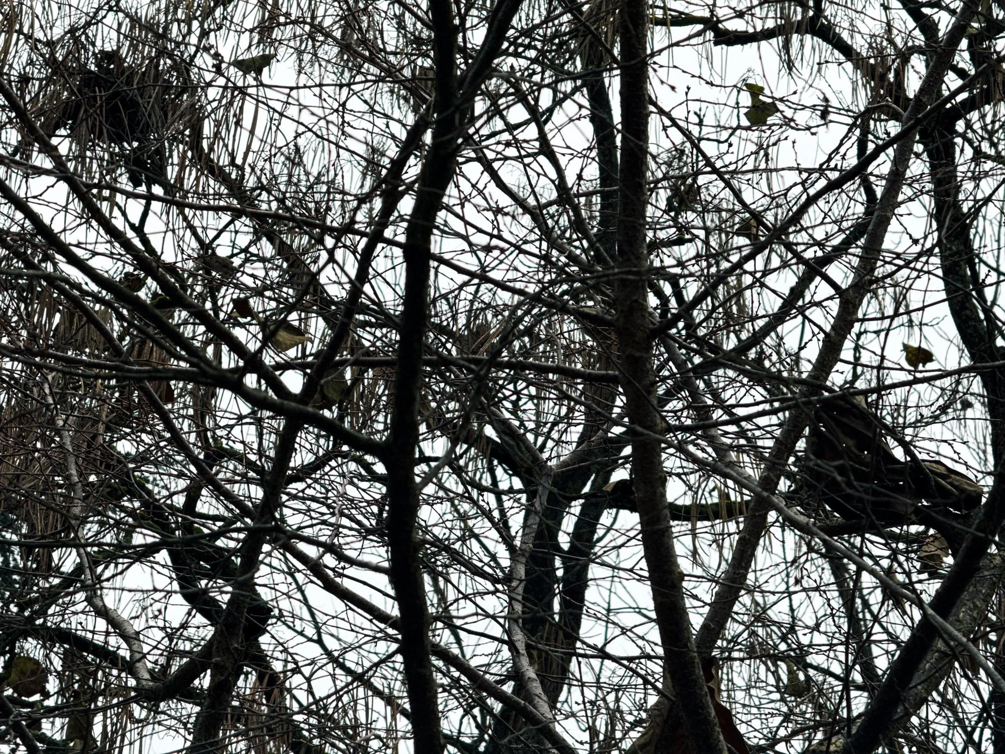 Structures · Black & White · Fine Art Photography · Fotograf Peter Aldag · Frogfisher Photographers München Stuttgart hamburg