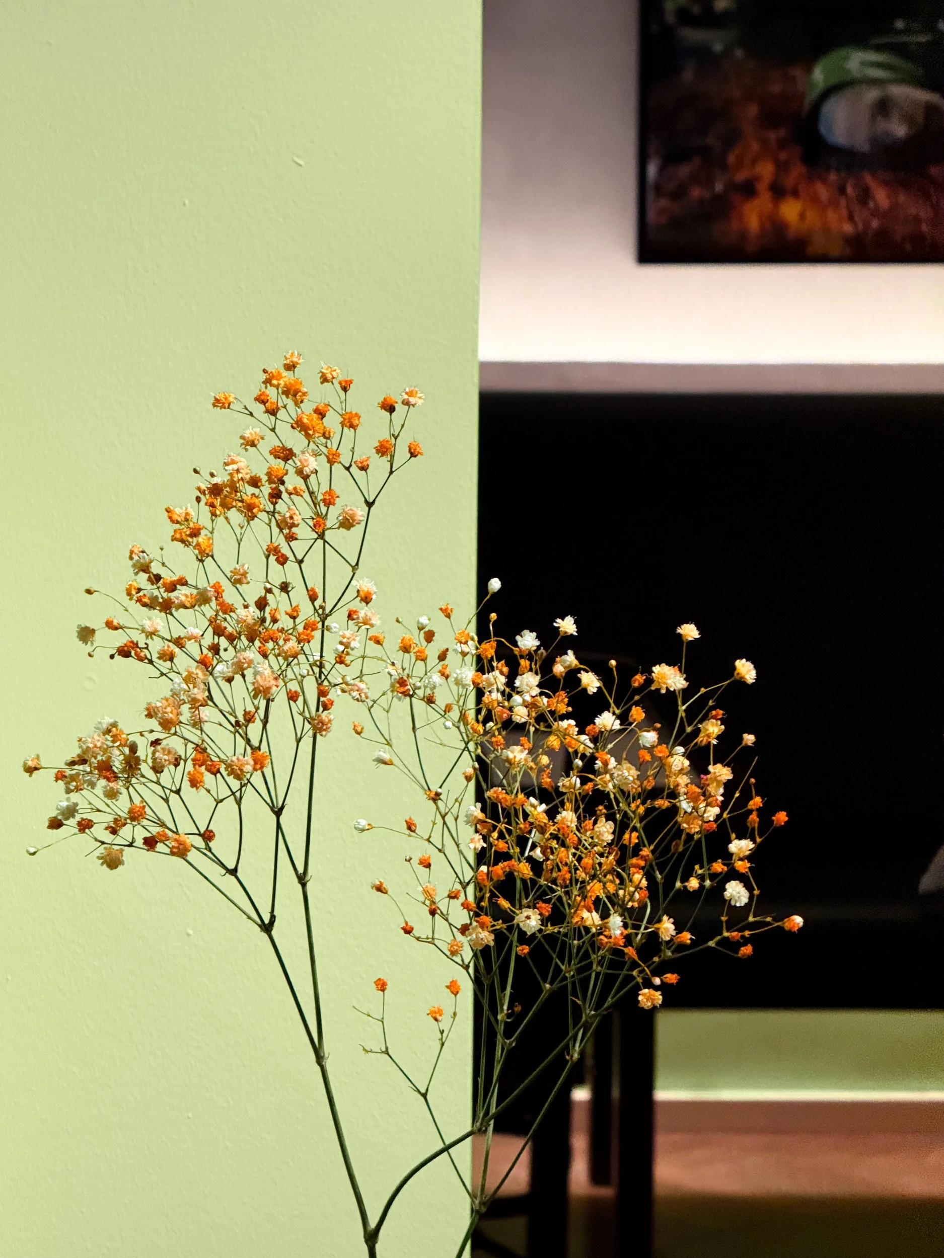 Flower Abstract Ginster by Still Life und Food Fotograf Hamburg Stuttgart München