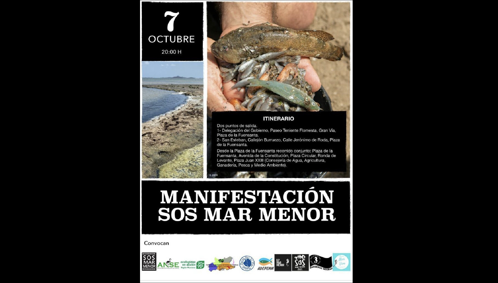 Manifestación SOS MAR MENOR