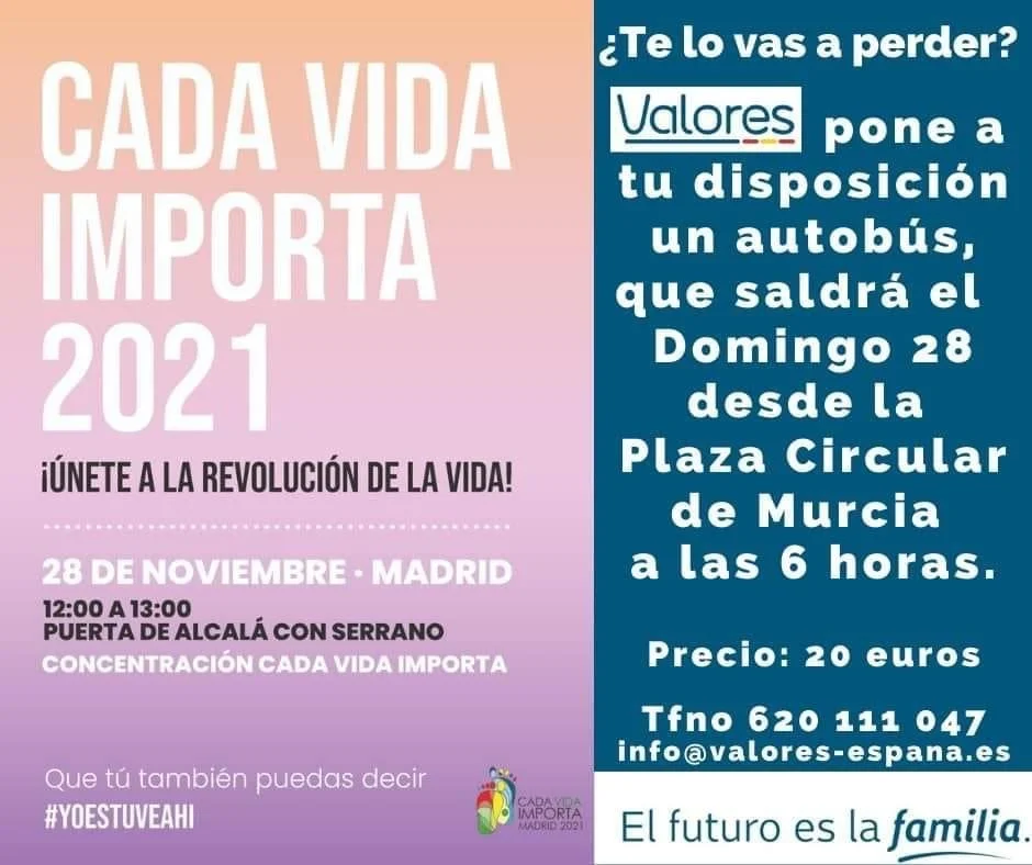 Concentración por la vida del 28 de noviembre en Madrid