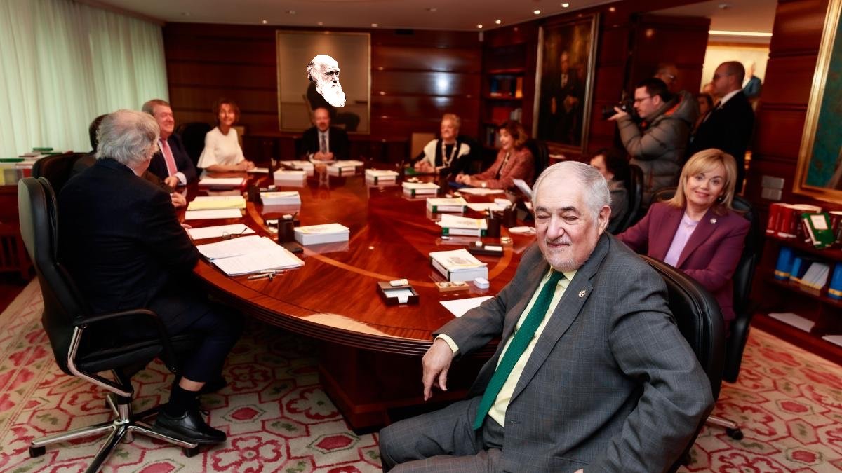 Aborto y darwinismo social en la mira del Constitucional