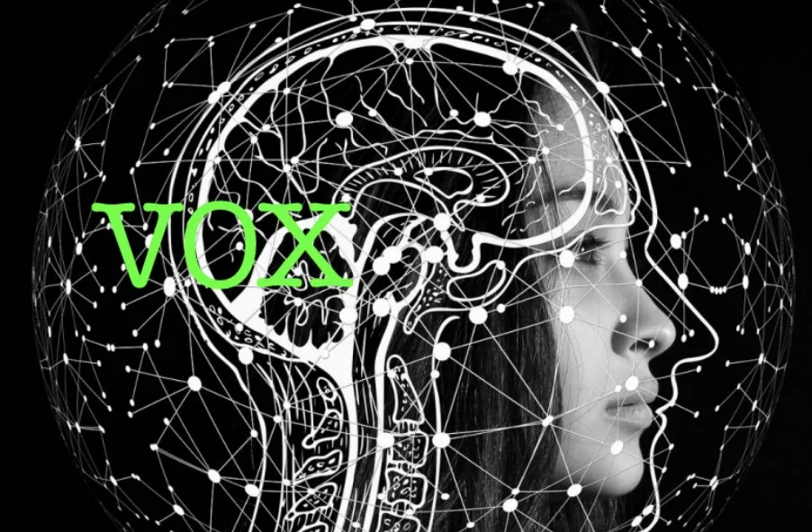 ¿VOX un producto de Inteligencia Artificial?