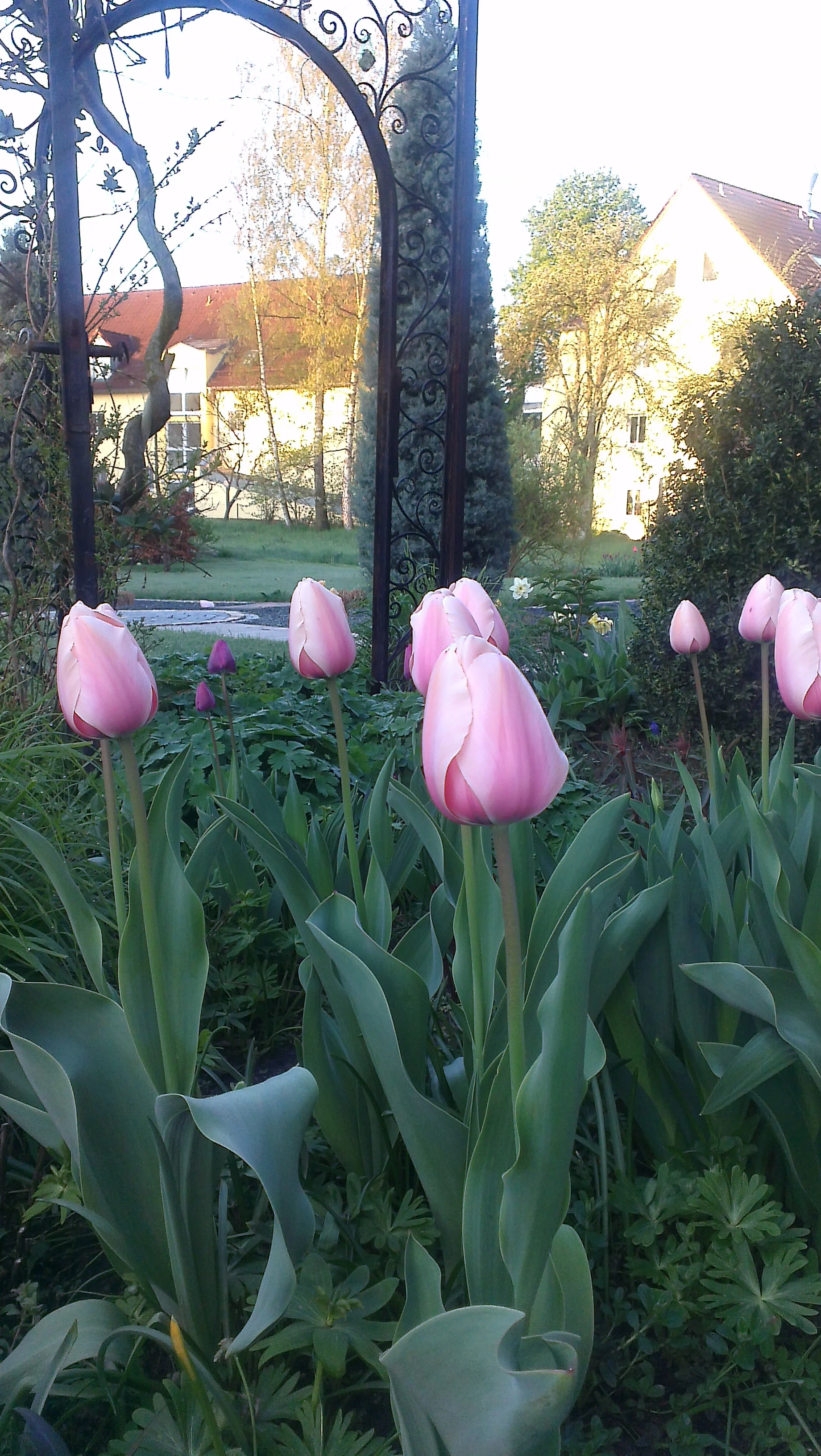 ...beinahe, wie aus dem Blumenladen!