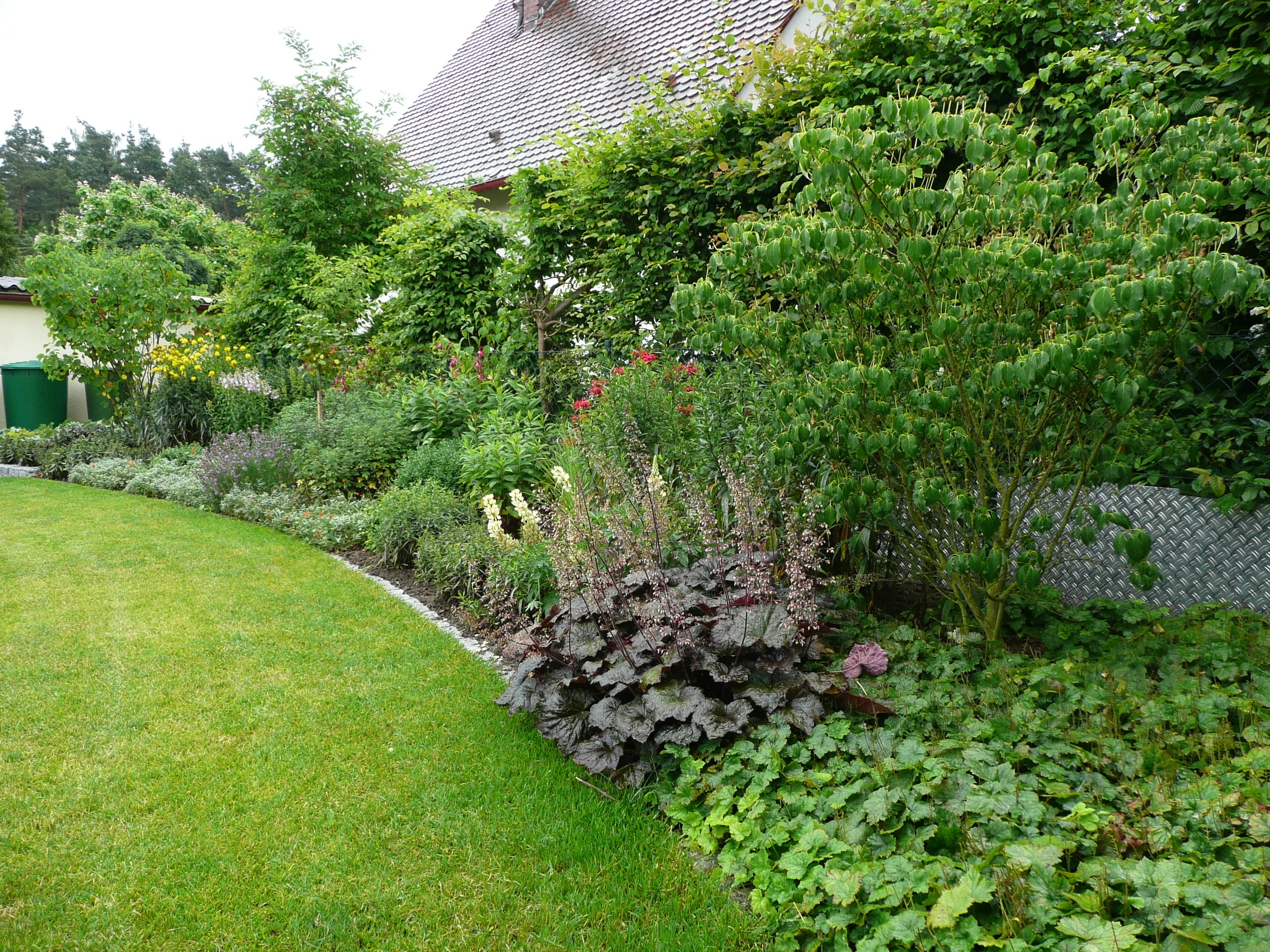 P1070186.JPG