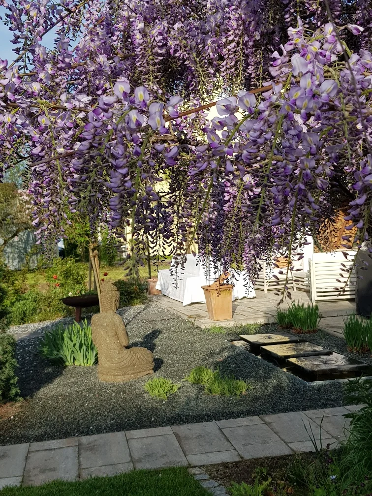 20180429_075526_resized.jpg