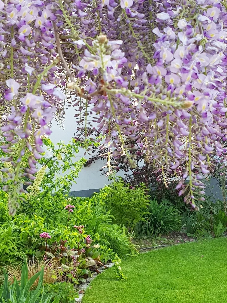 20180429_075623_resized.jpg