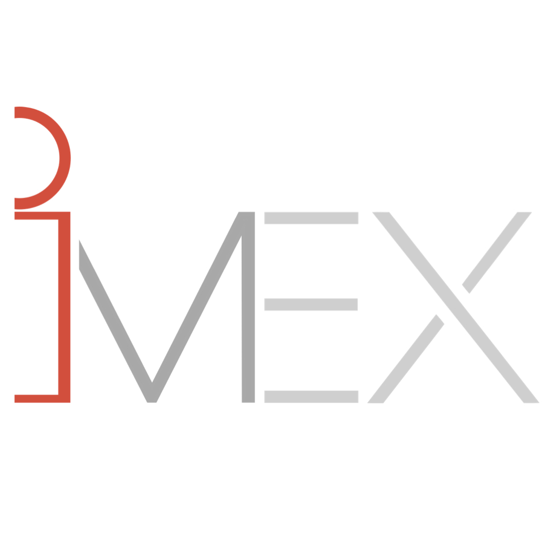 imex Commerce Ltd Logo