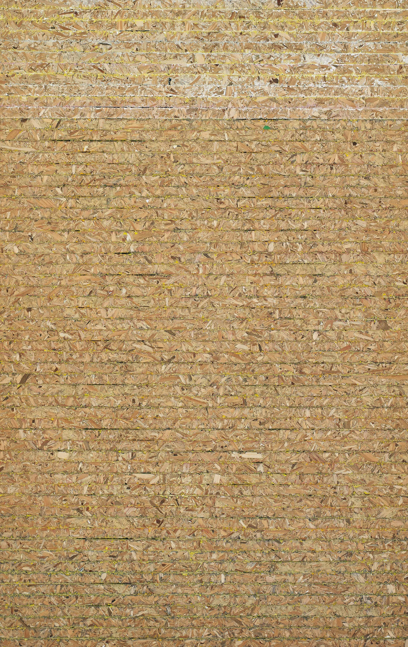  SEMPERISMO MINIMAL 50 x 32 cm — 2016 — Privat­besitz 