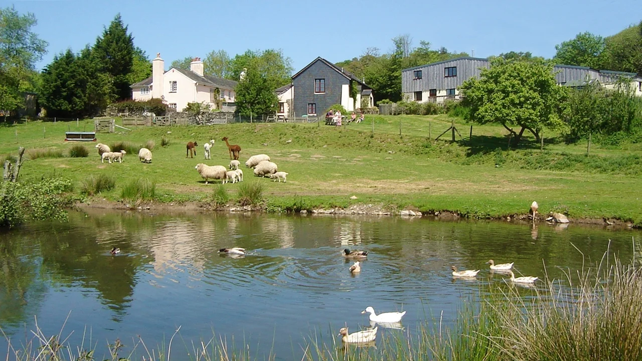 Across pond DM PCD 1 smaller.JPG