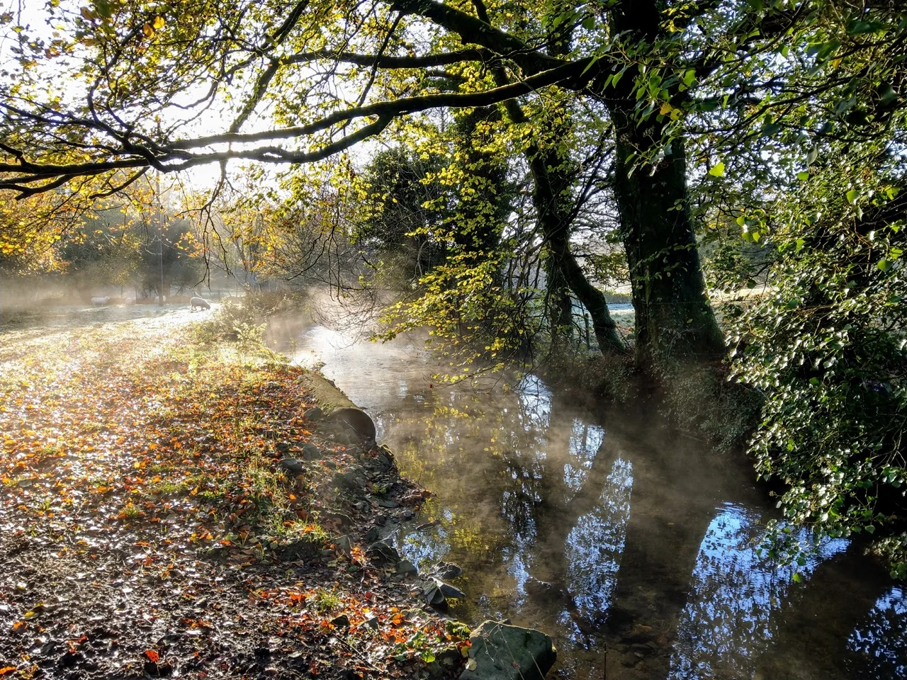 Riverside walks