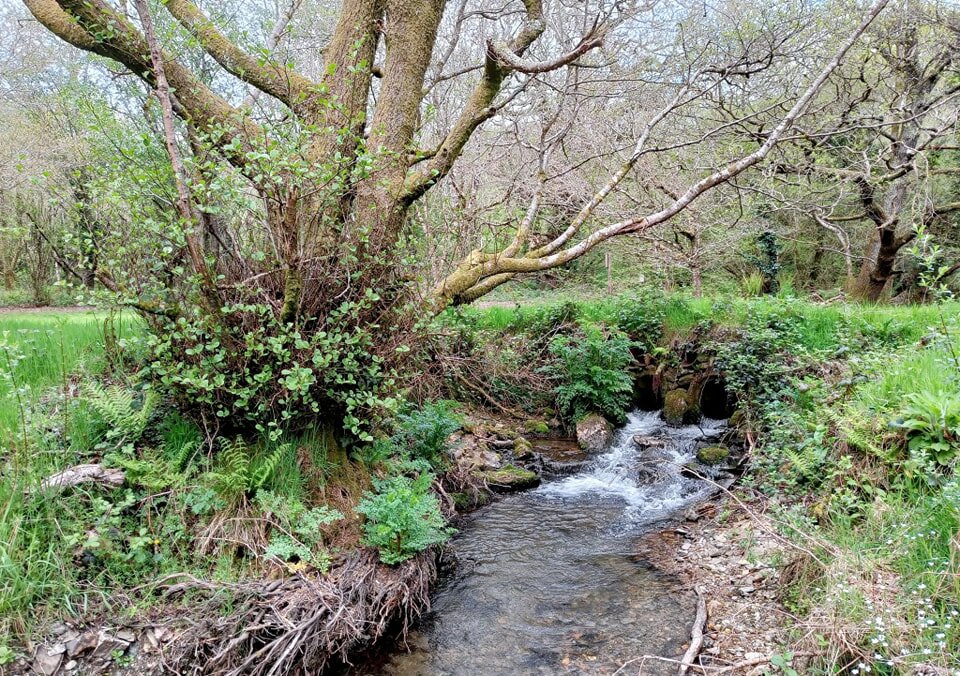 Our woodland walk is criss-crossed with waterways and is very pretty all year round. We also have a fun animal hunt activity for the little ones.
#selfcatering #farmstay #devon #ChildFriendly #holiday #cottage