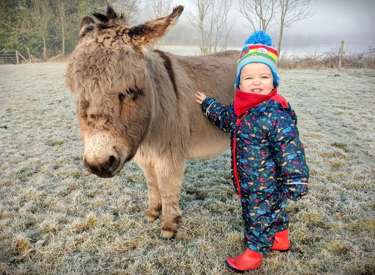 Visiting Knowle Farm in the winter