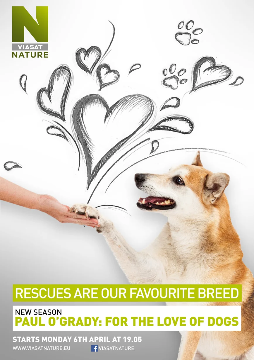 Paul O'Grady: For The Love Of Dogs