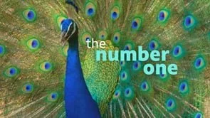 BBC NORDIC B2B SIZZLE25