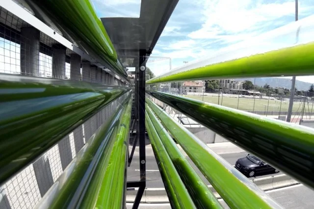 PopSci | Farming Algae, a new global solution?