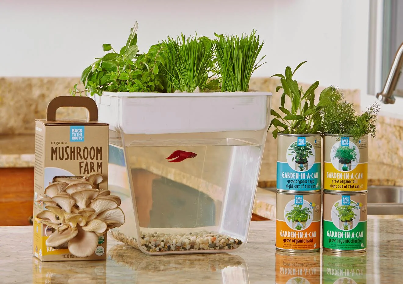 Katie.Show | Ep 035: Food From a Kitchen Not a Lab - Back to the Roots