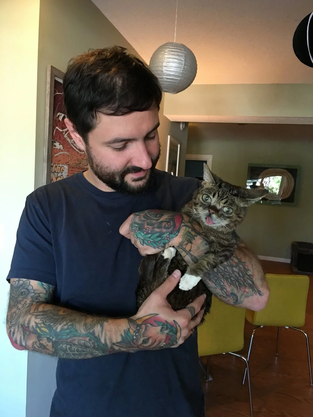 Katie.Show | EP 043: Lil Bub: Cat celebrity and techie