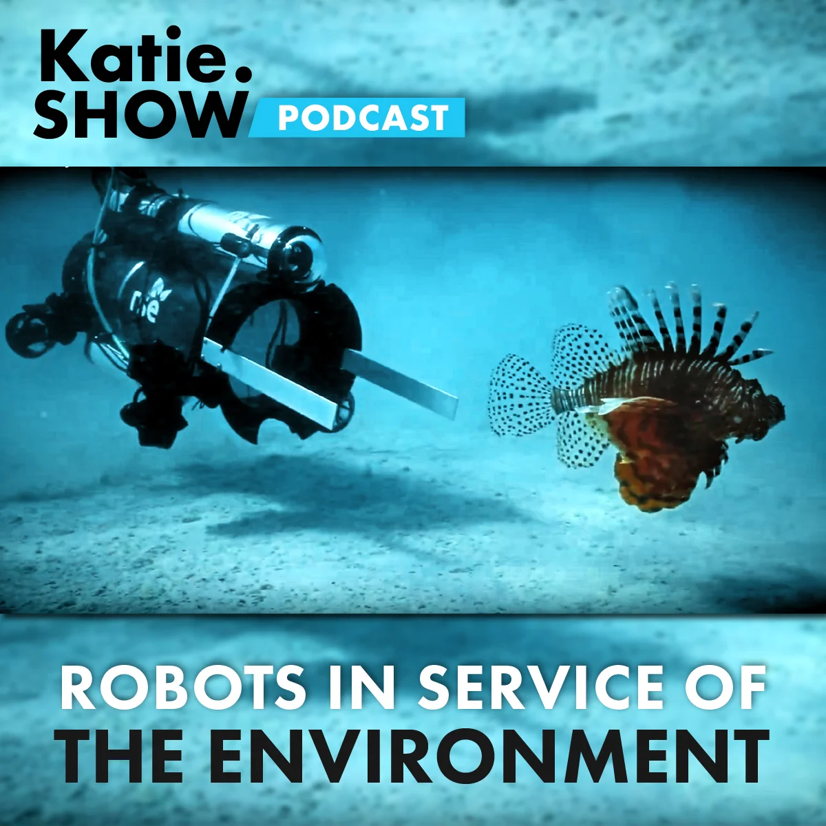 Katie.Show | EP 69: Robots in Service of the Environment 