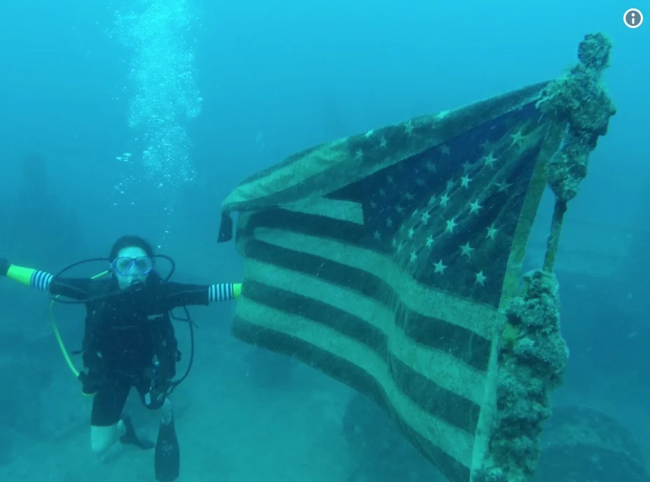 @KatieLinendoll: These Stars and Stripes fly proud air, land and sea! #flagday 🇺🇸 🌟