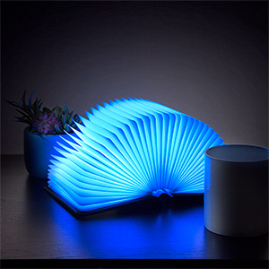 klhl_book_light_inuse.jpg