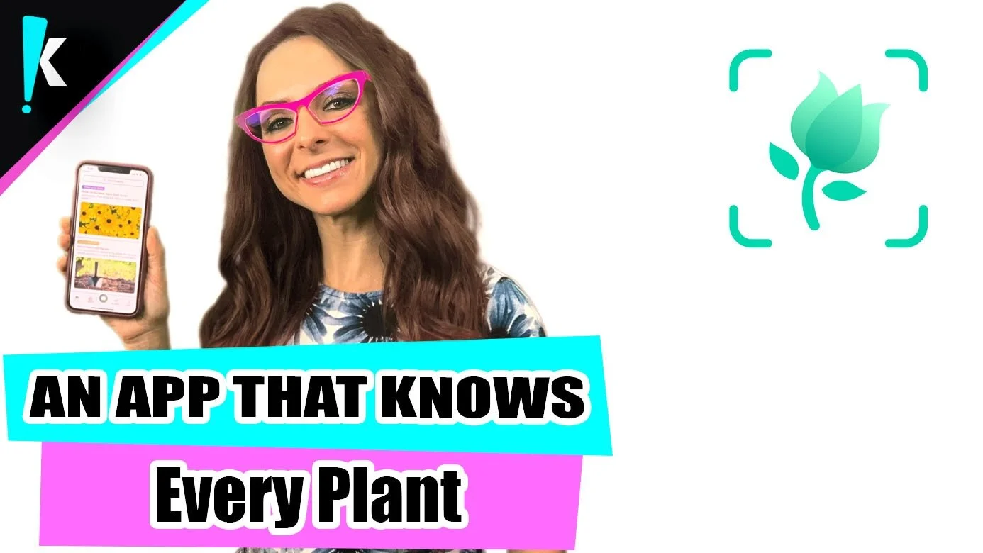 An App That Identifies Plants