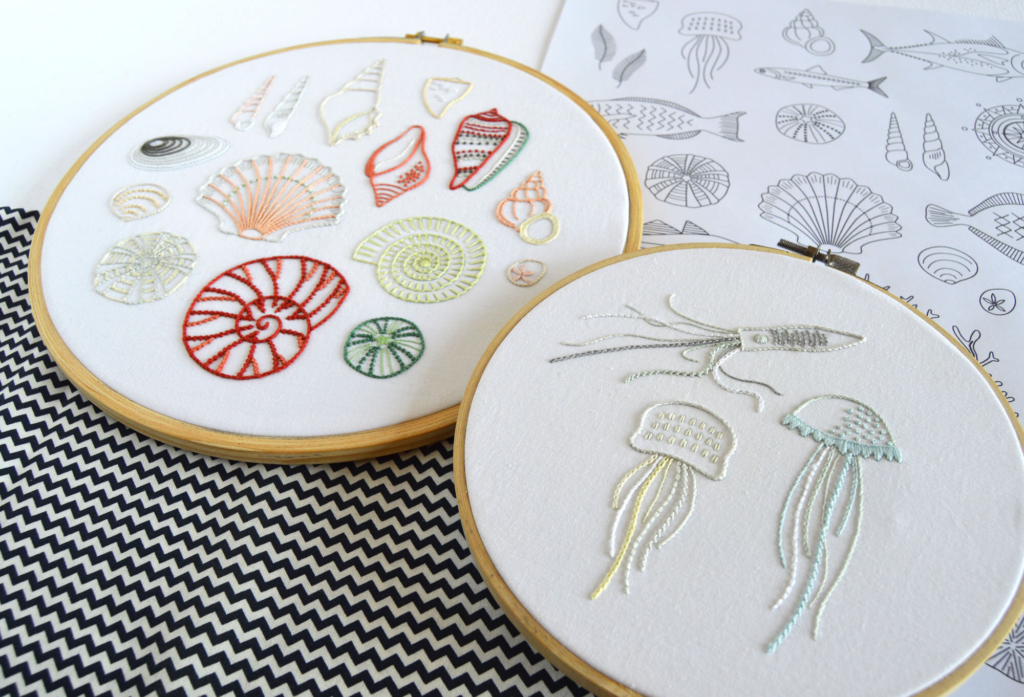 JellyfishShells1_KellyFletcher.jpg