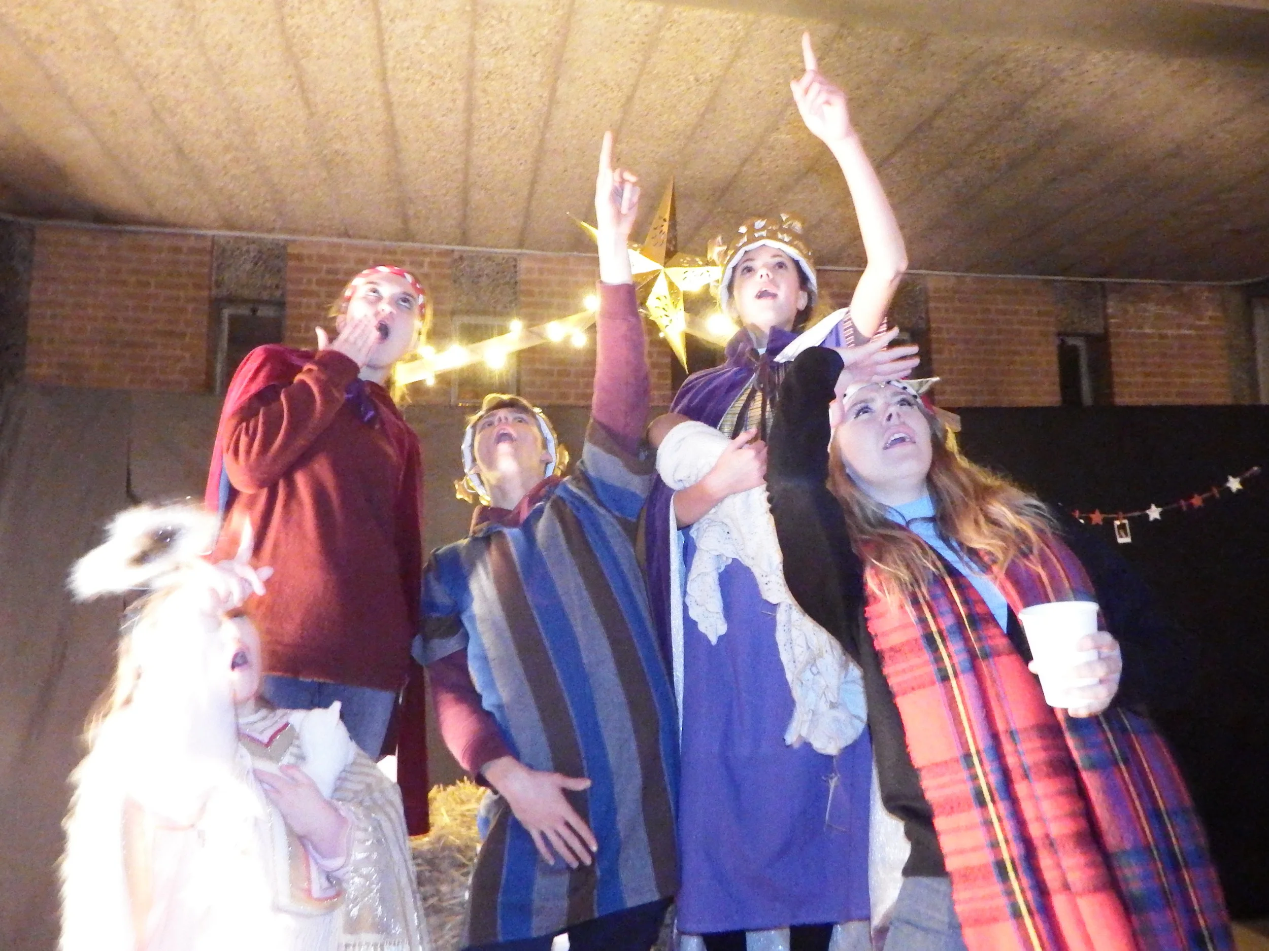 Is it a bird? is it a plane?