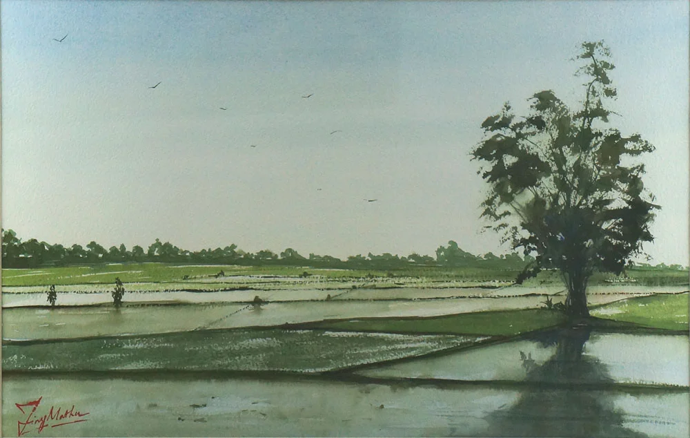 Paddy Field