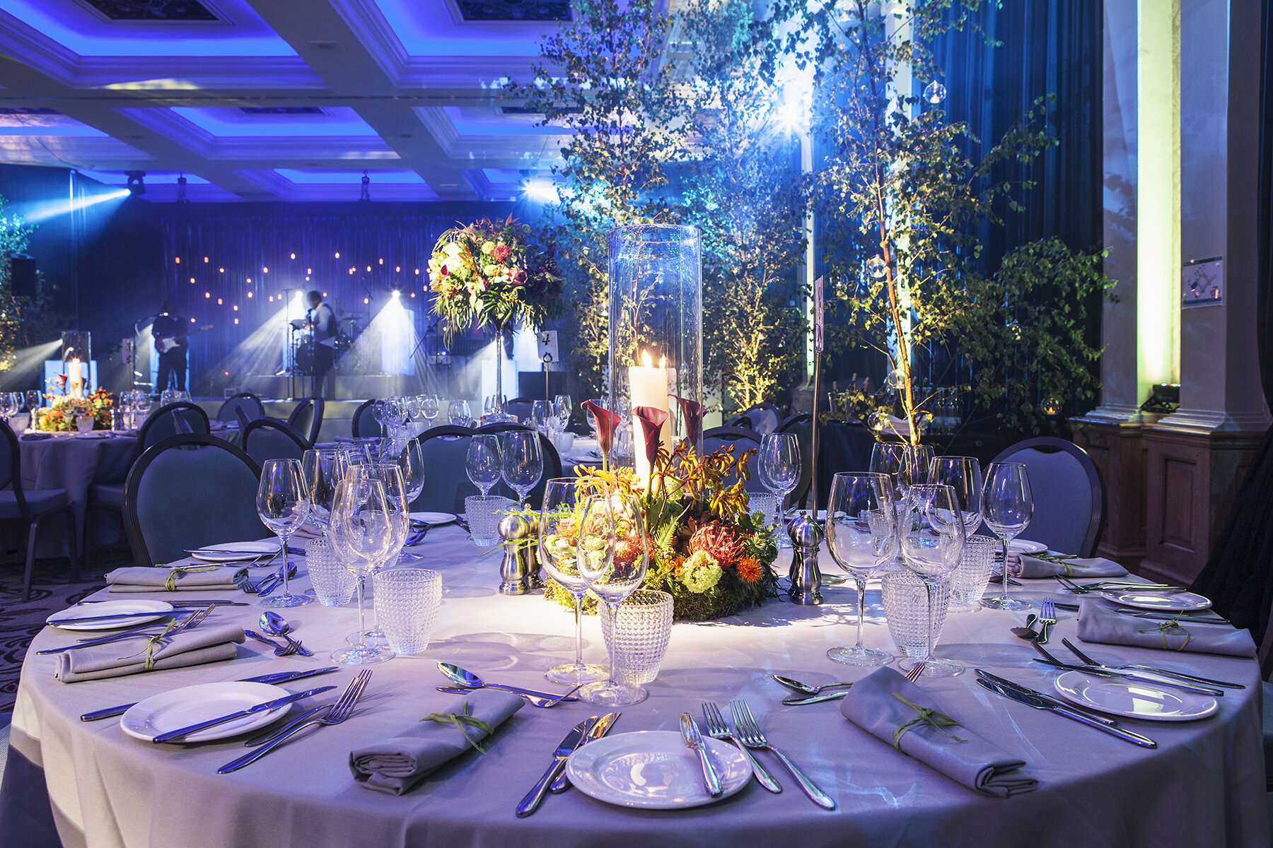reveries-events-brighton-grand-hotel-private-party-design-management-trees-lighting-sound-staging-entertainment-centre-pieces-linen-technical-production-enchanted-garden.jpg