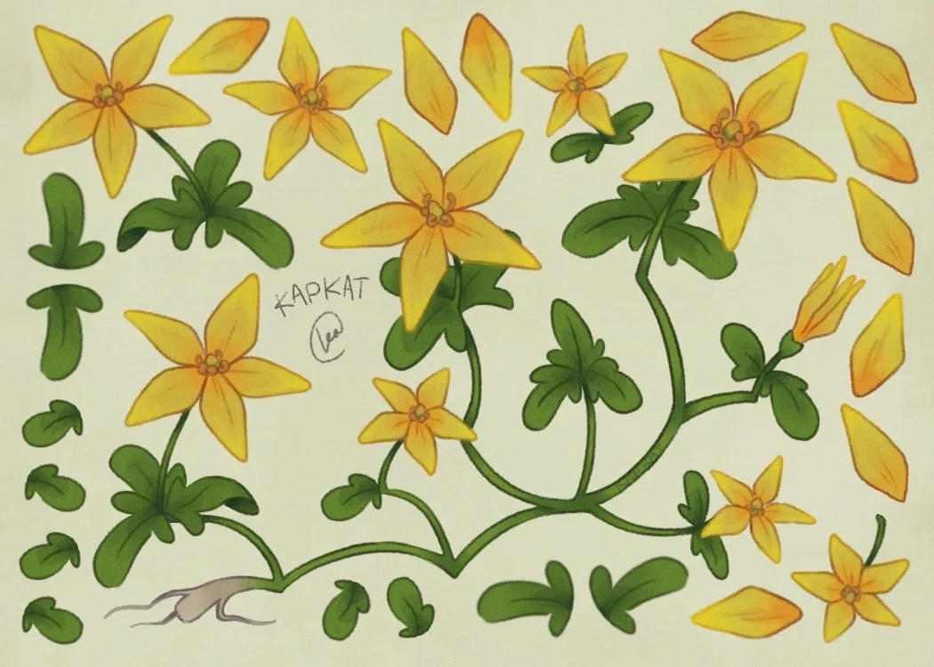 Plant_Star_StickerSheet.jpg