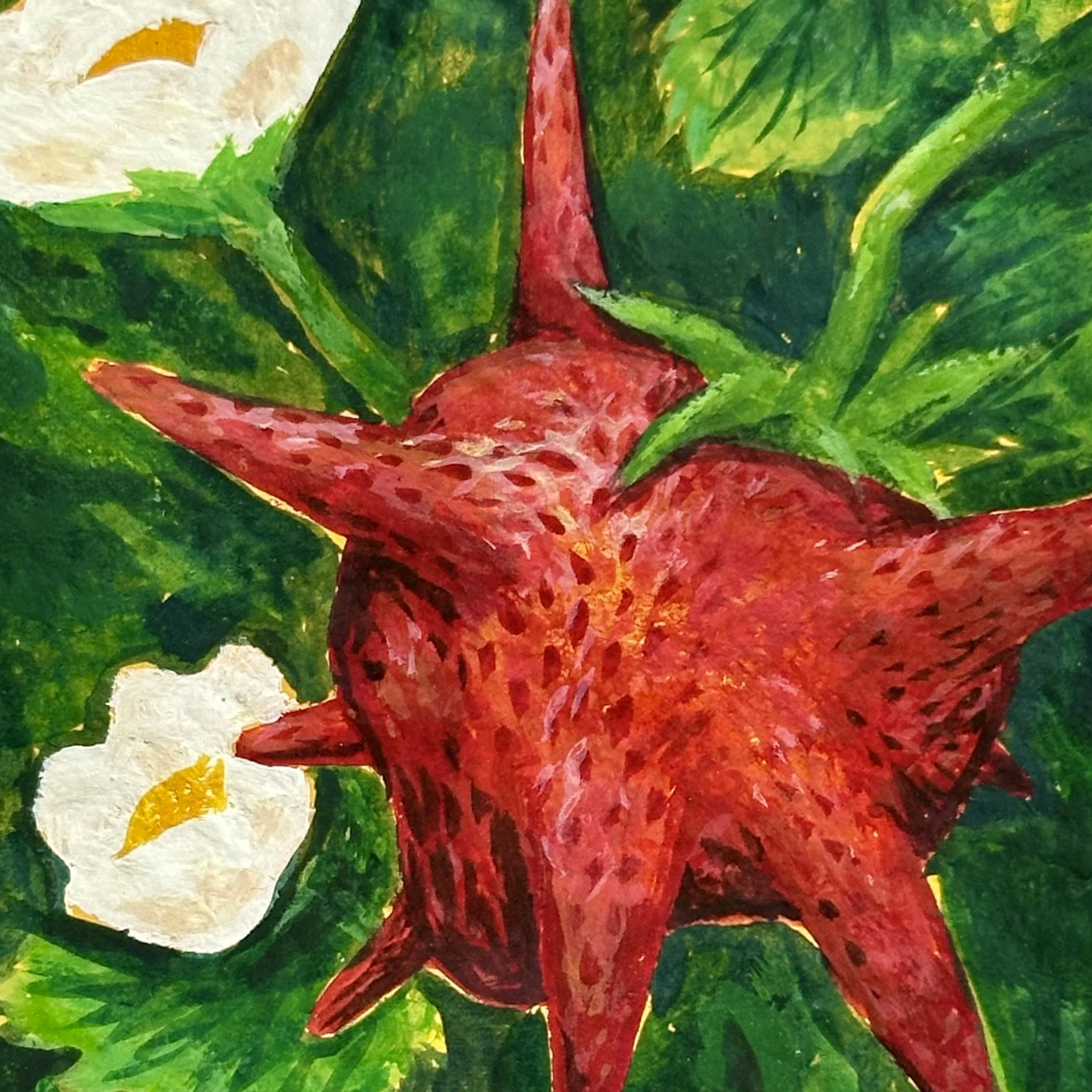 Gouache painting of a strawberry plant with flowers and fruit, but the strawberry has grown large spikes from its flesh as opposed to its usual shape