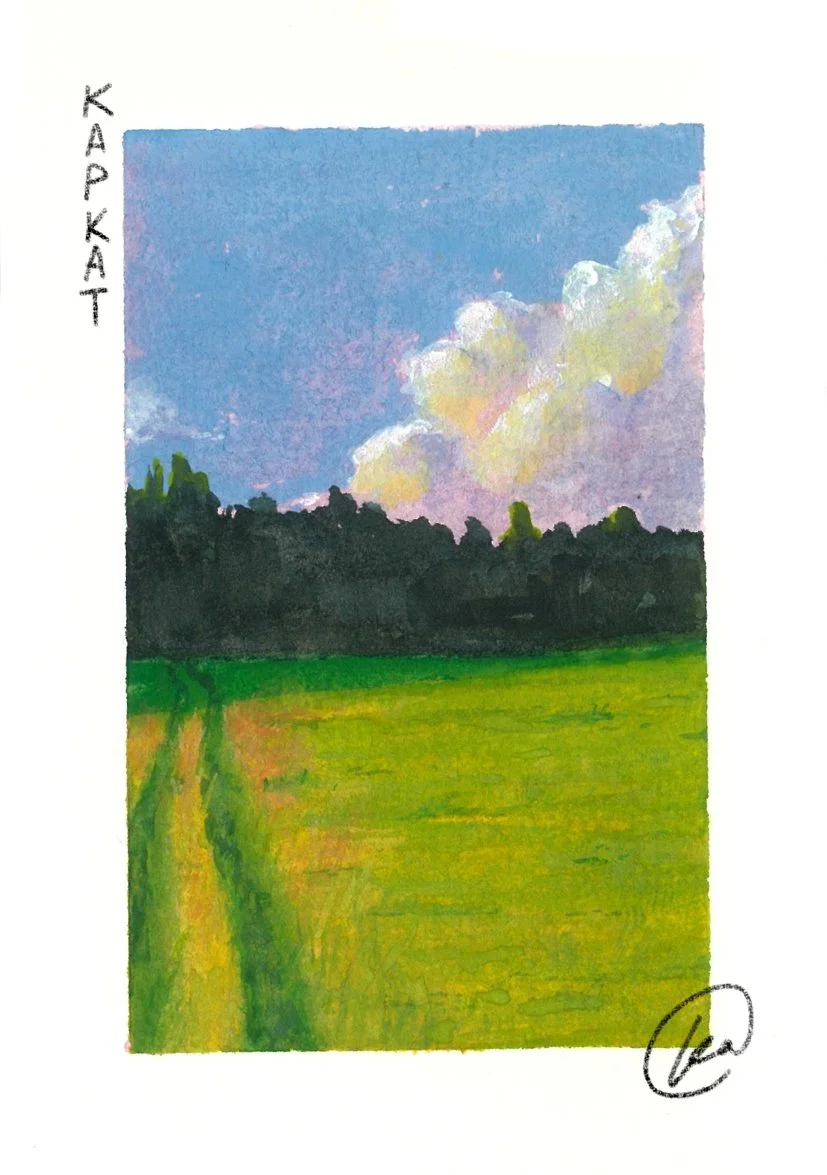 260308_Field.jpg