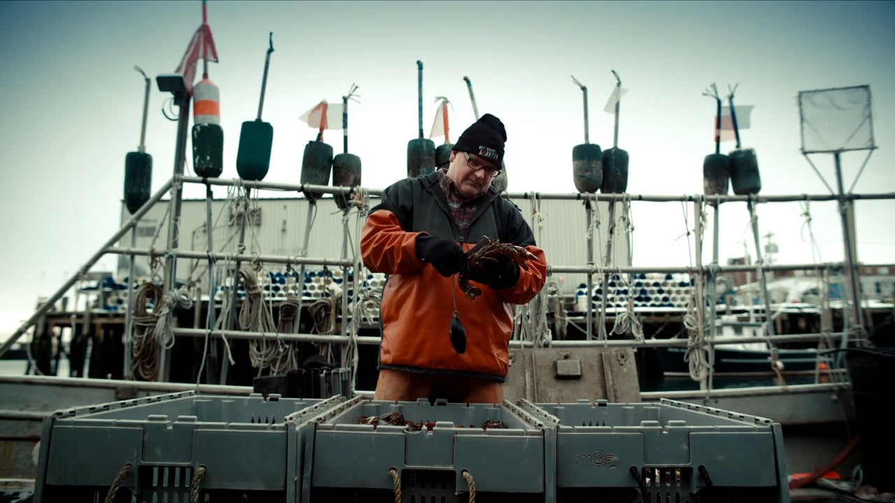 CHASE : GET MAINE LOBSTER