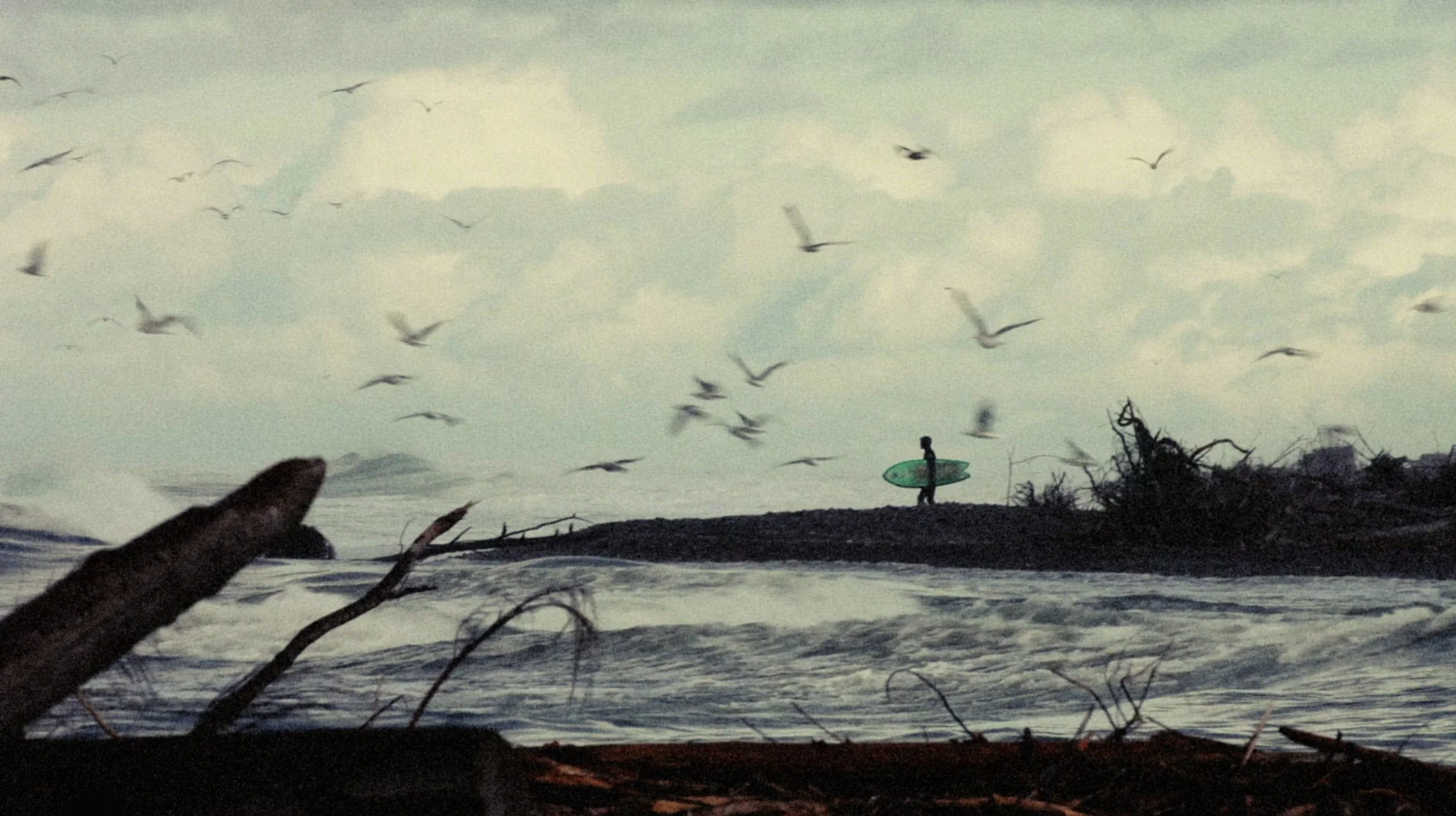   Featured in Shootonline's New Directors Showcase    When the economy tanked, Steve De Koch's business folded and he lost his home. He decided to turn his back on the American Dream and found a better life.   