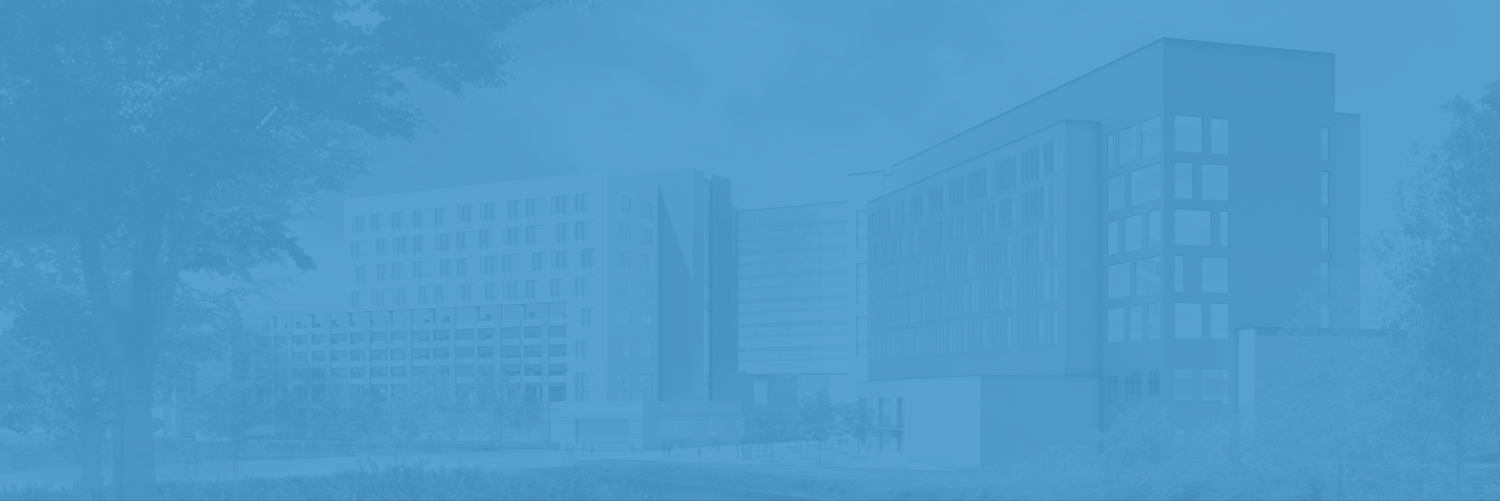 2016 Year in review banner