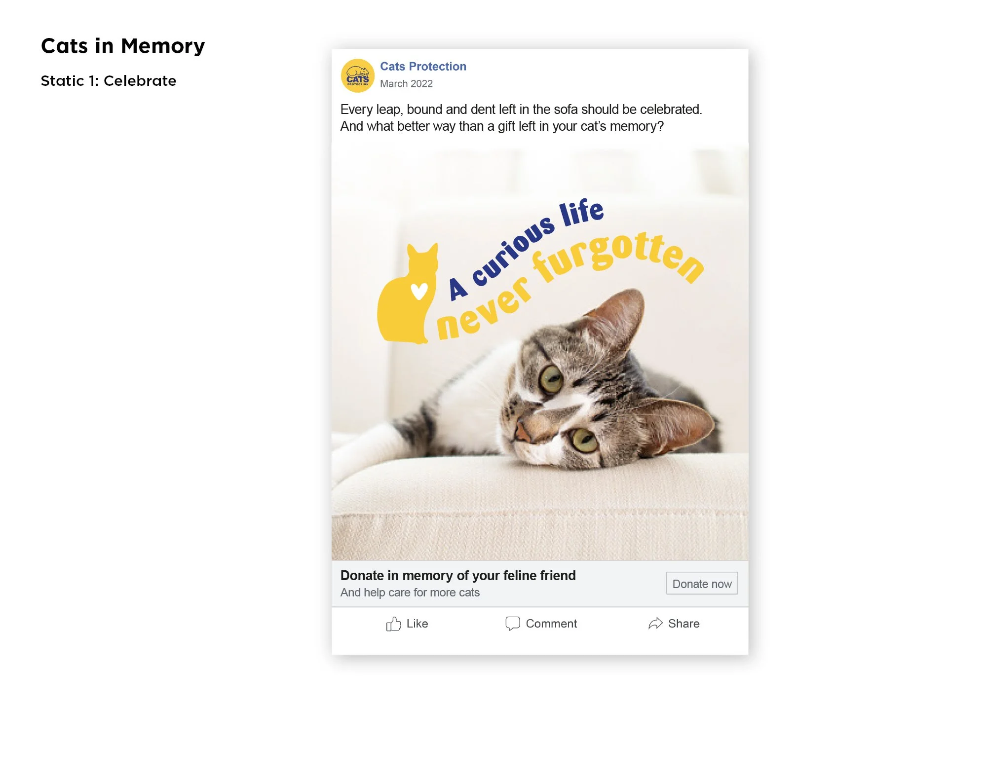 CatsProtection_Social ads 1.jpg