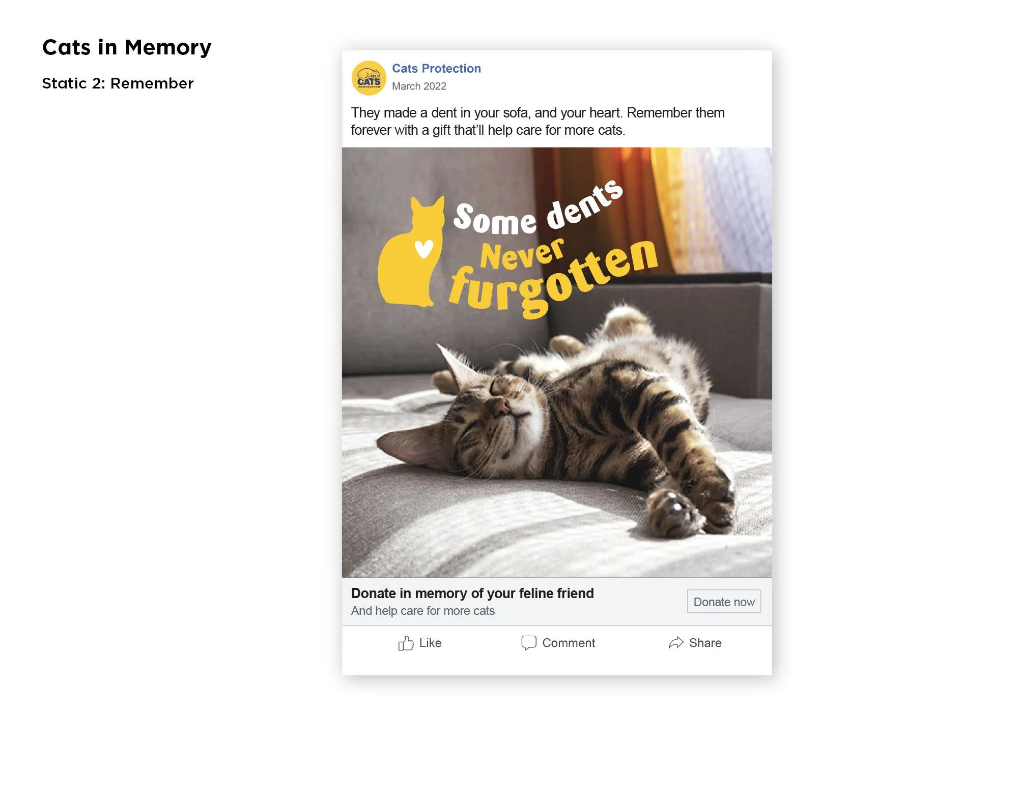 CatsProtection_Social ads 2.jpg