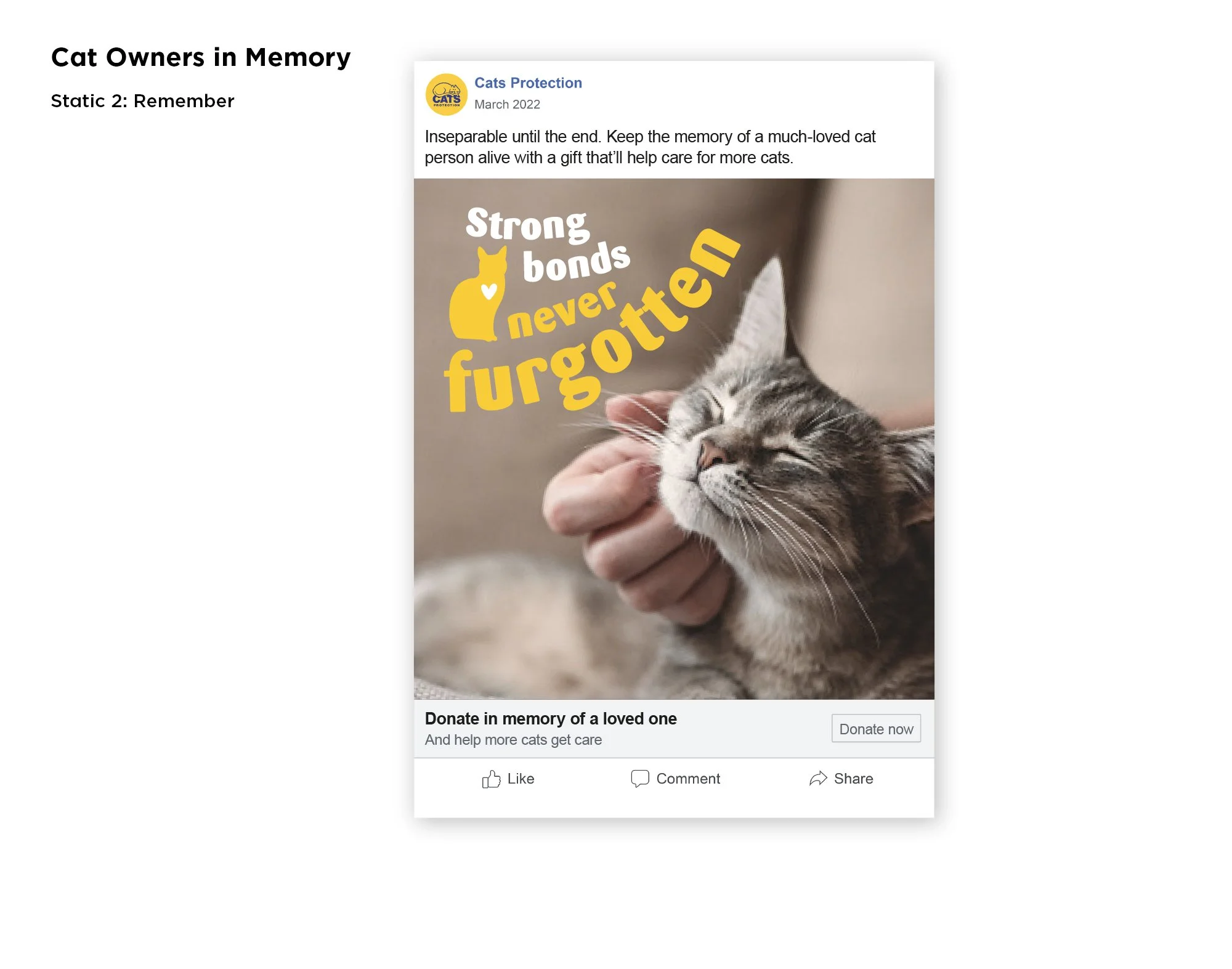 CatsProtection_Social ads 4.jpg