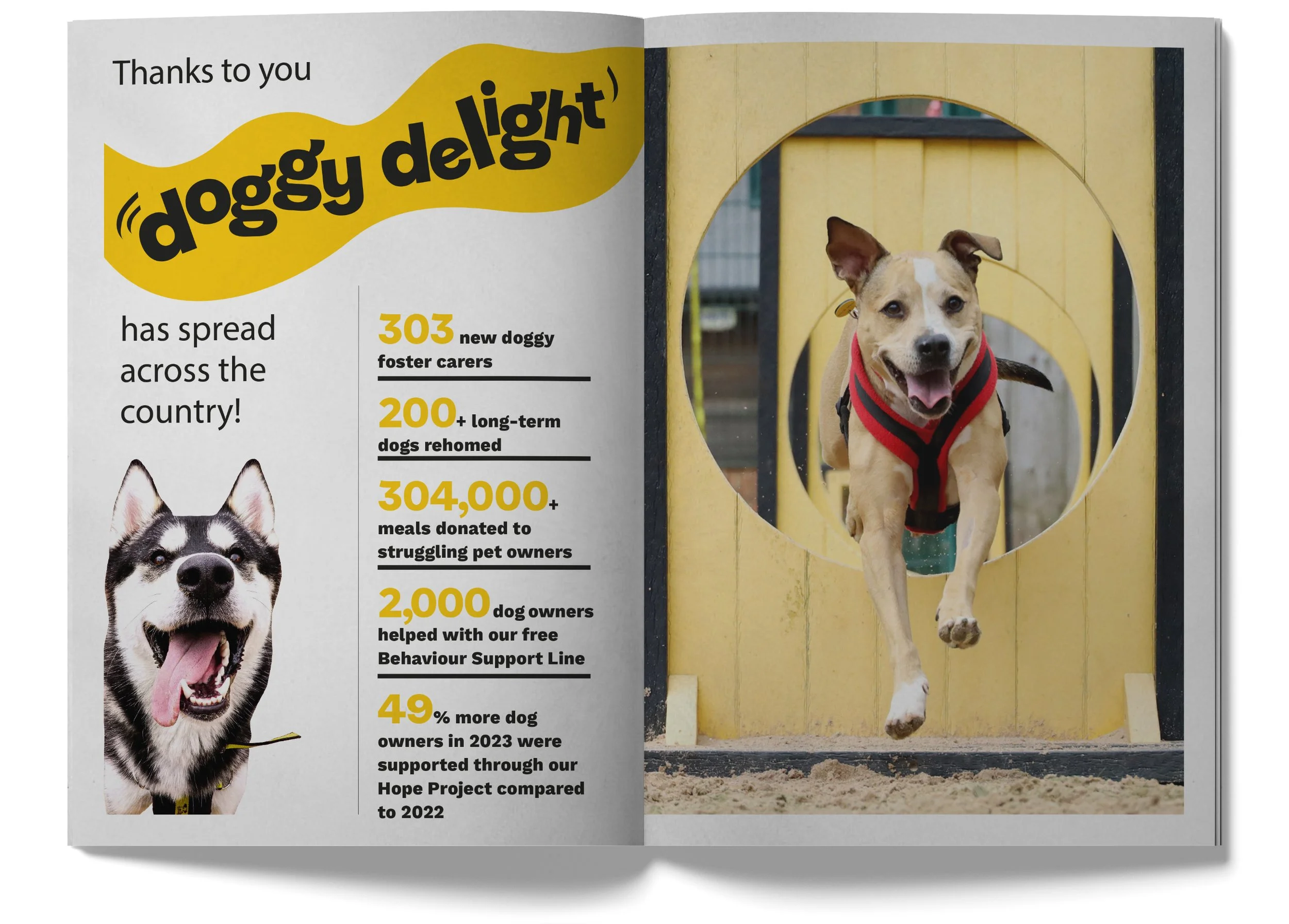 DT_A5 Mag_Mockup_Spread1.jpg