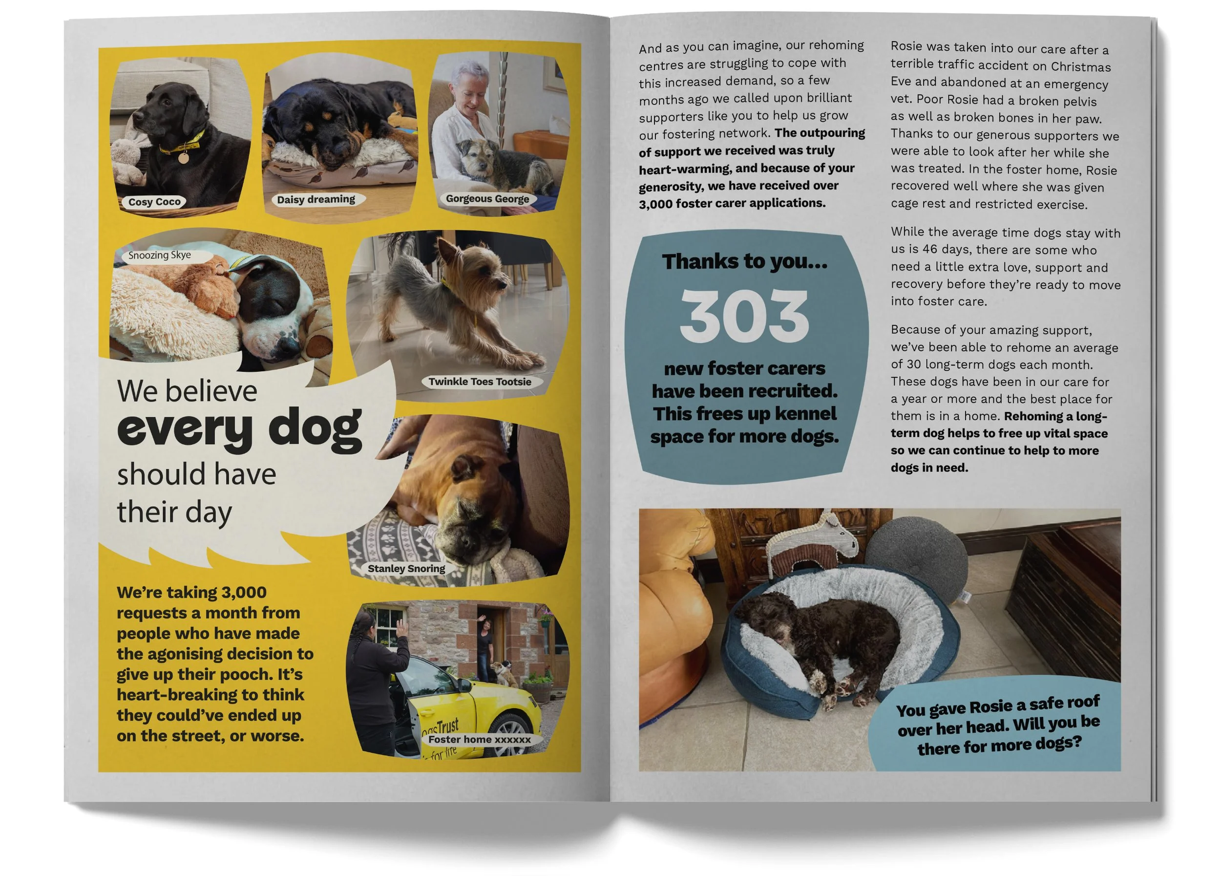 DT_A5 Mag_Mockup_Spread2.jpg