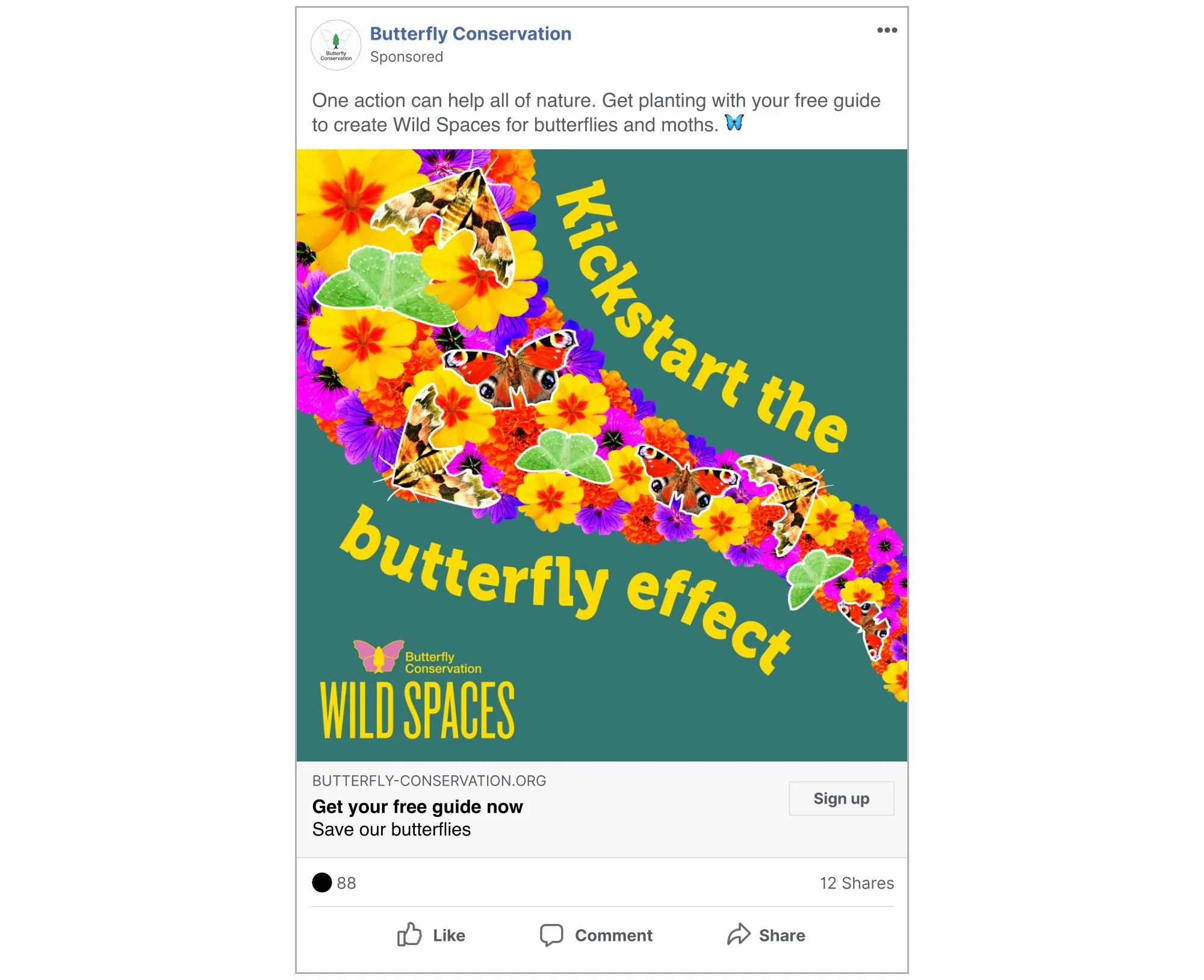 Butterfly Conservation_WildSpaces SocialAds_2.jpg